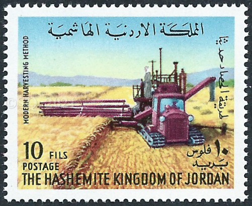 traditional and modern agriculture in Jordan 2