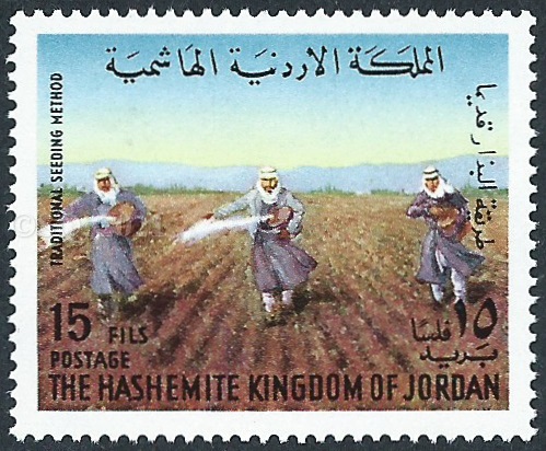 traditional and modern agriculture in Jordan 3