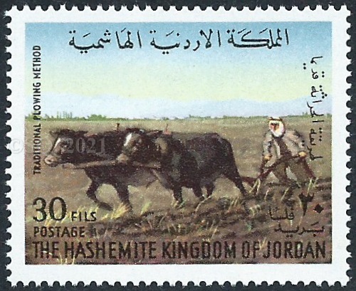 traditional and modern agriculture in Jordan 5