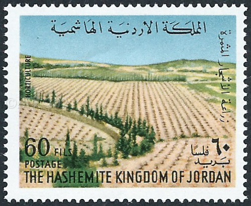 traditional and modern agriculture in Jordan 8